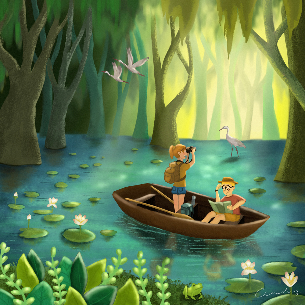 Swamp-tour