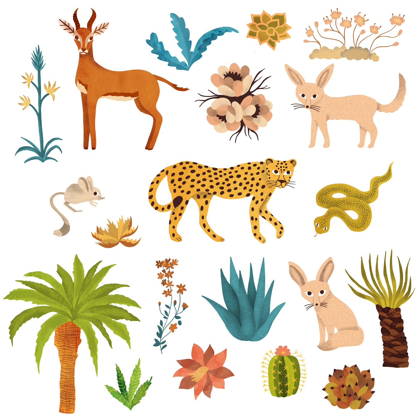 motif-desert-elements