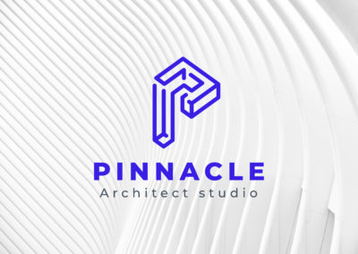 Logo Pinnacle