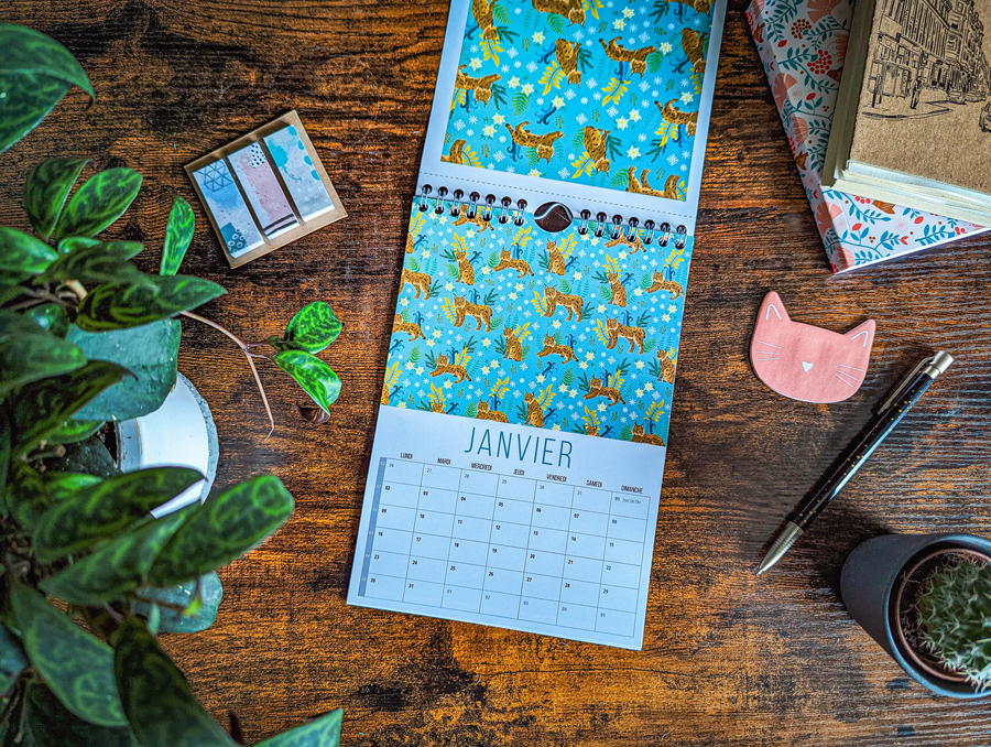 calendrier janvier